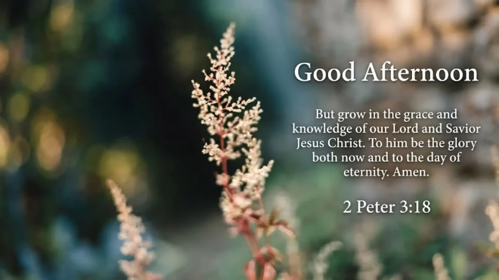 Christian Good Afternoon Blessings With Bible Verses
